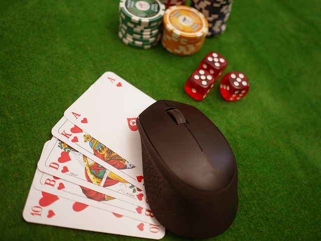 Casino Experience